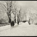 Warszawa, aleje Ujazdowskie zimą 1936, fot. Henryk Poddębski